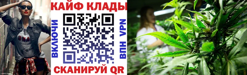 Как найти наркотики Козельск A PVP  Каннабис  АМФЕТАМИН  kraken   COCAIN  Псилоцибиновые грибы 