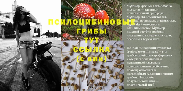 трава Балабаново