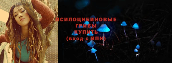 apvp Балахна