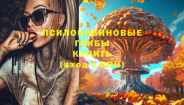 apvp Балахна