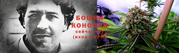 PSILOCYBIN Сафоново