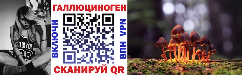 Псилоцибиновые грибы Cubensis  Козельск 